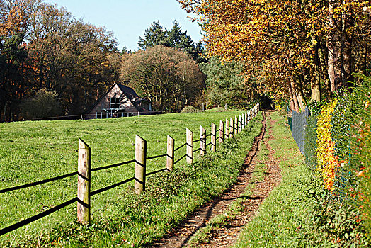 草地,小路,木篱,秋天,背景,农舍,下萨克森,德国,欧洲