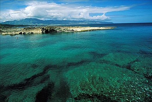 夏威夷,瓦胡岛,北岸,鲨鱼,小湾,珊瑚礁,风景,清晰,绿色,海水