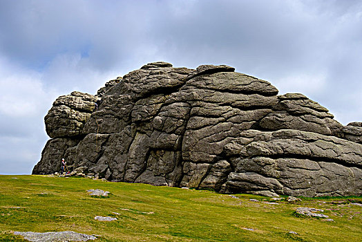石头,达特姆尔高原,国家公园,德文郡,英格兰,英国,欧洲