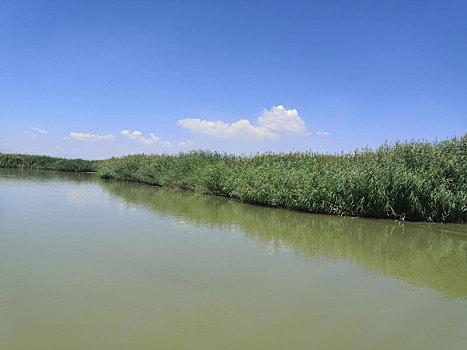 黄河古渡湿地公园
