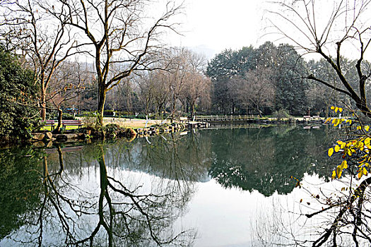 杭州西湖花港观鱼秋景