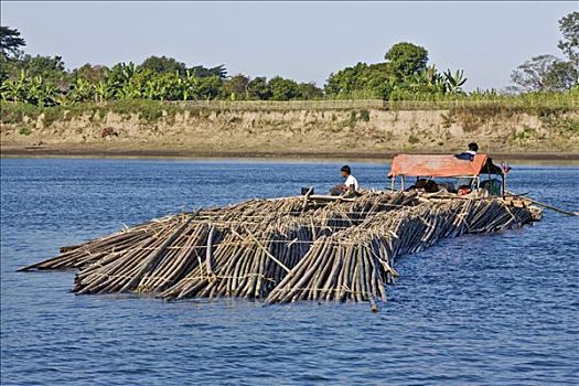 缅甸,河,漂浮,竹子