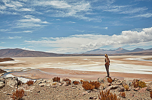 女人,站立,观景,盐湖,波托西地区,玻利维亚,南美