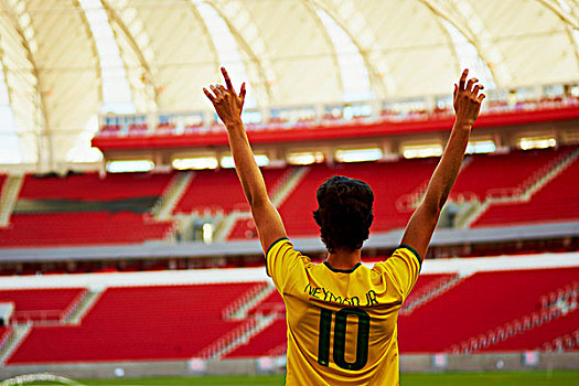 巴西人,球迷,高兴,体育场