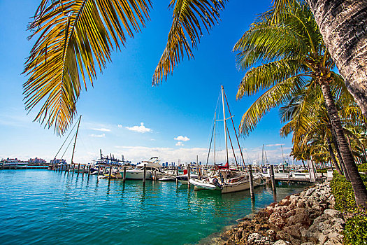 码头,迈阿密,佛罗里达,美国