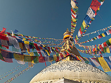 祈祷,旗帜,围绕,上面,佛塔,加德满都,尼泊尔,亚洲