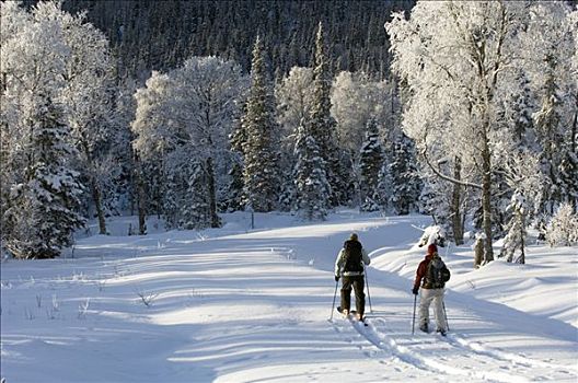 两个,越野滑雪者,瑞典