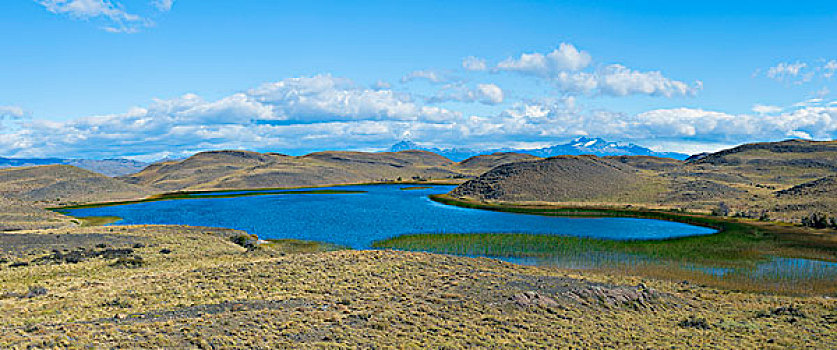 湖,托雷德裴恩国家公园,巴塔哥尼亚,智利,南美