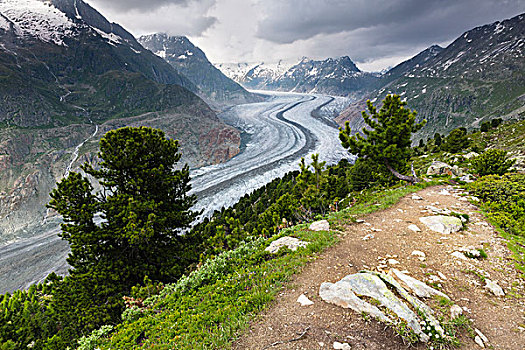 风景,冰河,区域,世界遗产,自然,场所,竞技场,瓦莱,罗纳河谷,瑞士