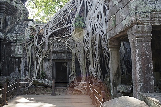 塔普伦寺,遗址,吴哥窟,柬埔寨