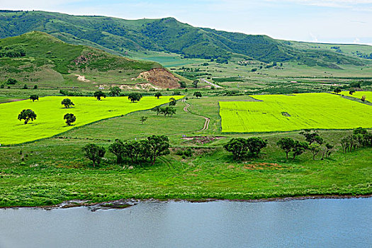 草原,牧场,内蒙古
