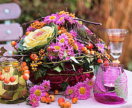 菊花,观赏甘蓝,观赏苹果