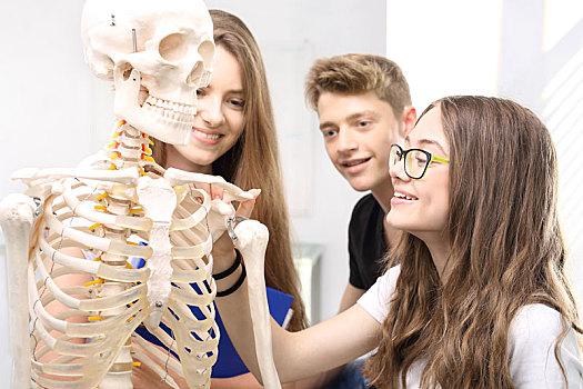 骨骼,身体部位,学生,班级