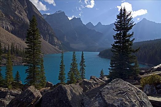 逆光,树,漂石,岸边,冰碛湖,背景,十峰谷,班芙国家公园,艾伯塔省,加拿大