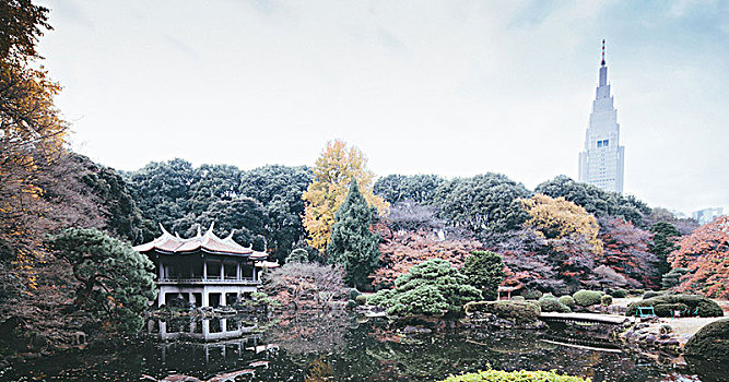 台湾阁