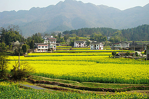 贵州遵义新农村,美如画卷乡愁浓