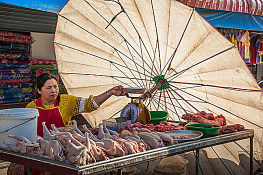 女销售员,市场,肉,货摊,大,伞,歌曲,省,北方,泰国,亚洲