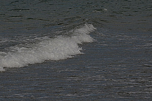 青海湖浪打浪