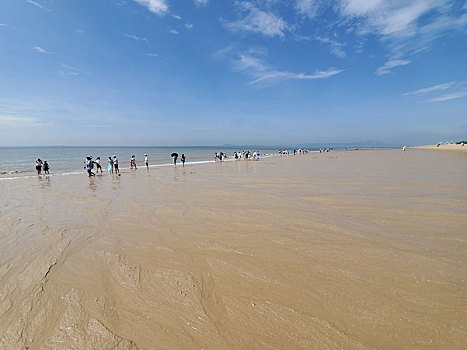 沙滩,海滨,厦门