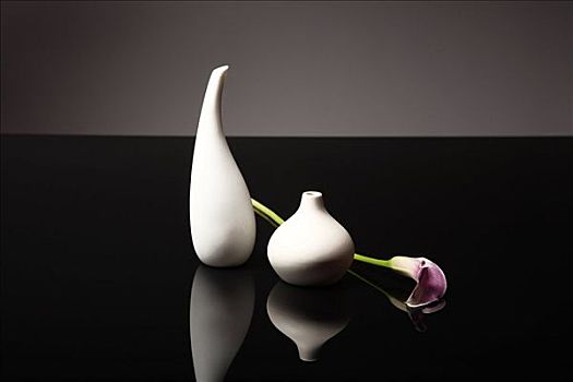 马蹄莲,卧,旁侧,两个,花瓶