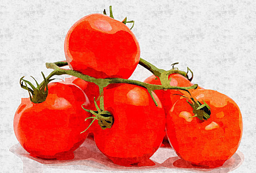 西红柿,束,油画