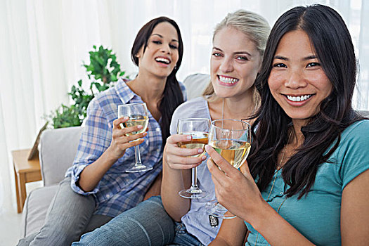 高兴,朋友,白葡萄酒,一起,看镜头,在家,沙发