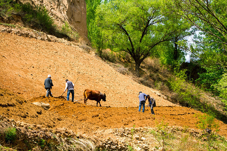耕地图片_耕地图片素材