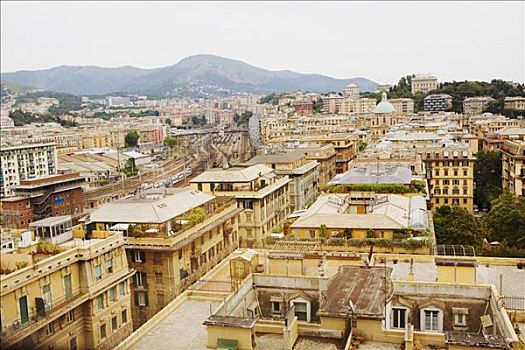 俯拍,城市,热那亚,利古里亚,意大利