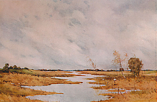 修理,栅栏,湿地,20世纪,艺术家
