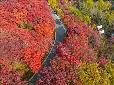 航拍济南红叶谷景区