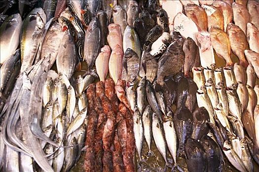 鱼肉,市场,日本