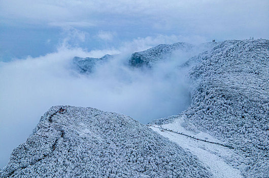 重庆金佛山雪白的童话世界