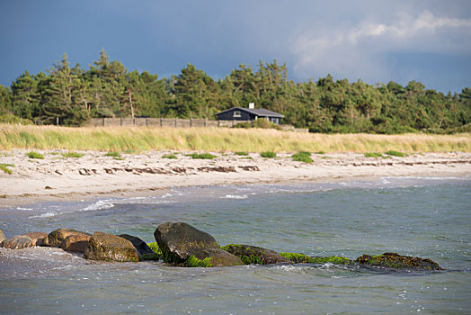 丹麦人,海滩,风景