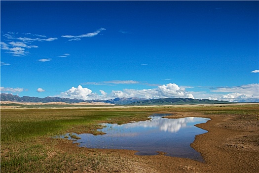 美丽的青海湖草原湿地