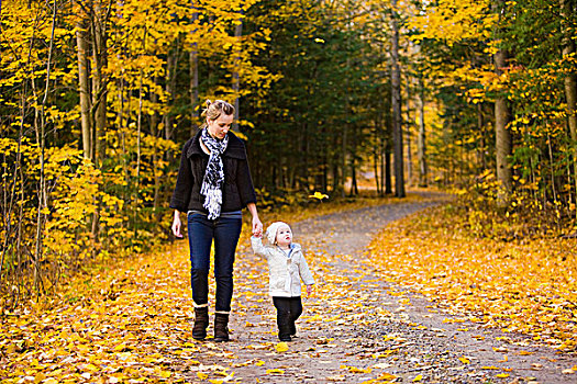 母亲,走,乡间小路,婴儿,女儿,溪流,保护区,安大略省,加拿大