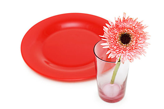 花,红色,盘子,隔绝,白色