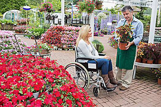 女人,轮椅,买,植物,花卉商店