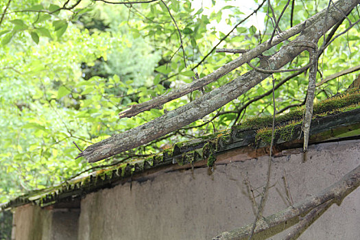 街子古镇,崇州,茶马古道,古建筑,旅游