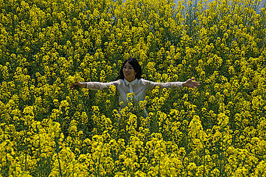 油菜花田中的美女