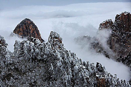 雪后黄山风光