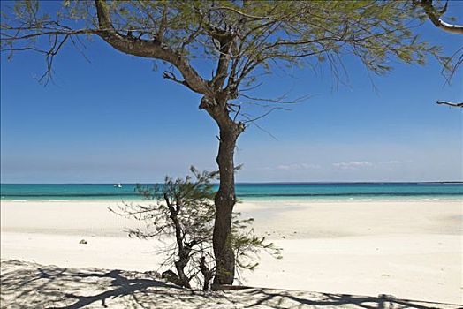 海滩,岛屿,莫桑比克,非洲