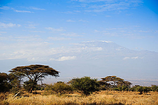 非洲肯尼亚雪山