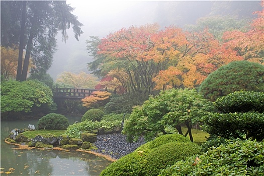 雾状,早晨,日式庭园,水塘