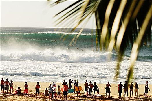 夏威夷,瓦胡岛,北岸,观众,看,碰撞,海浪,沙子