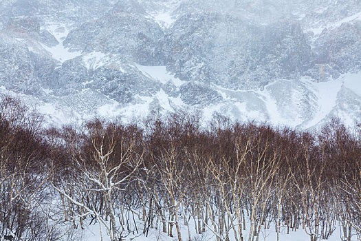 雪景