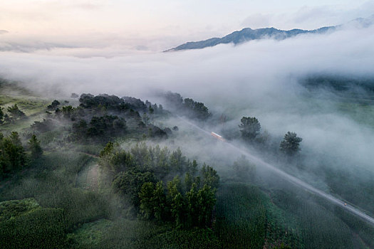 山间雾气