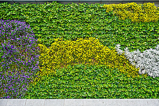 鲜花植物绿化墙