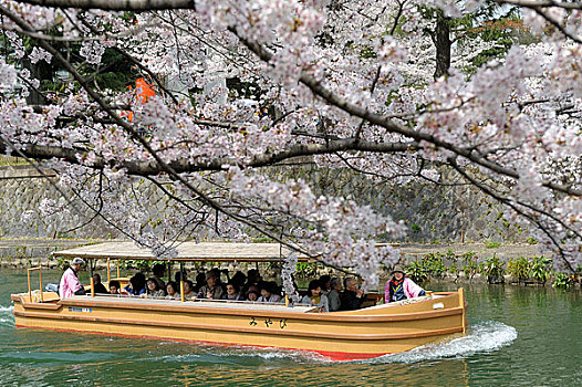 日本,京都,船,河
