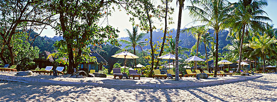 沙滩,棕榈树,皮质带,海滩,安达曼海,泰国,亚洲