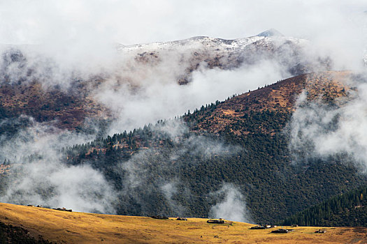 卡子拉山